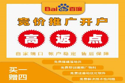 SEM代理助力品牌：案例解析与优化策略
